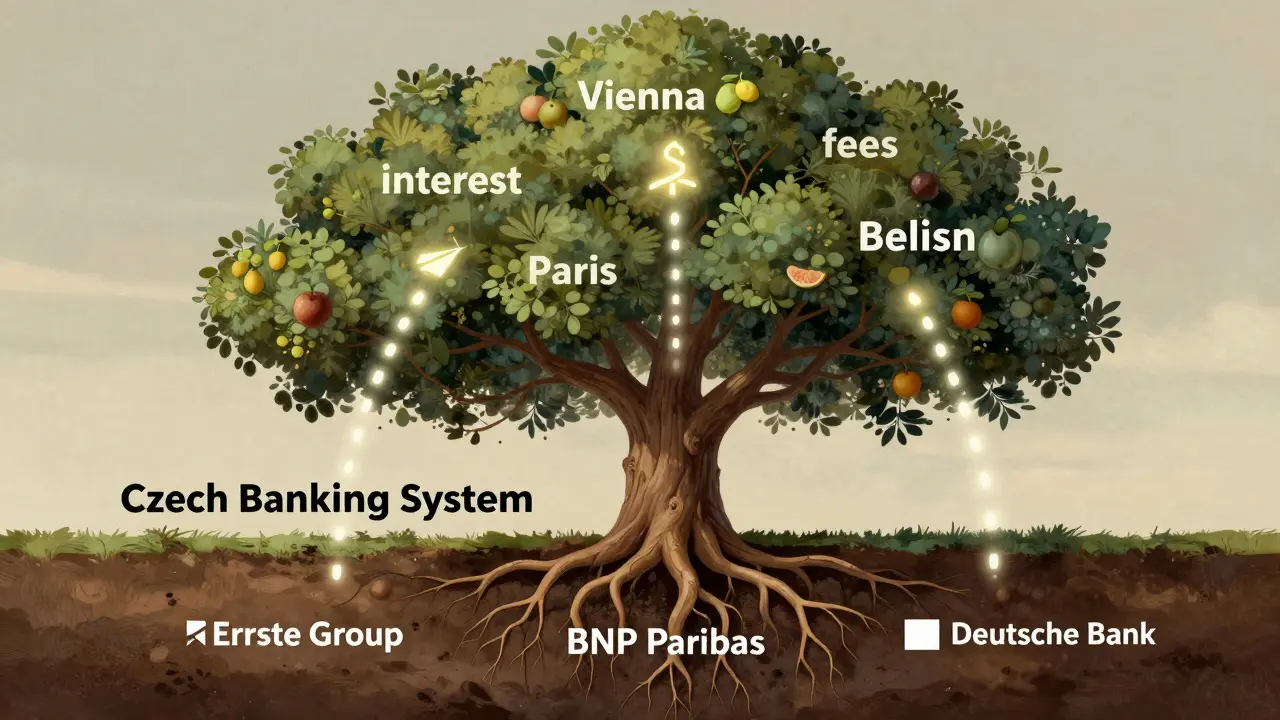 Strom s kořeny označenými jmény zahraničních bank, které sahají do české půdy, zatímco ovoce odkazuje na úroky a poplatky.